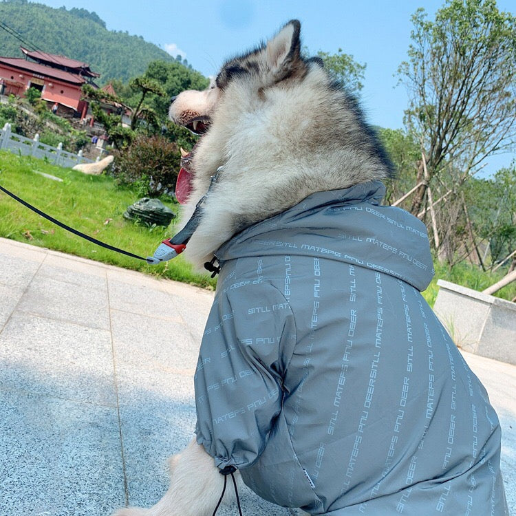 Non-Furry Windproof Pet Clothing for Dogs Cats