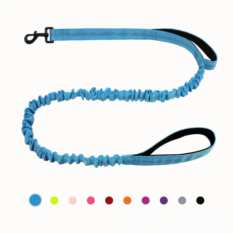Multi Functional Anti Pull Leash for Large Dogs