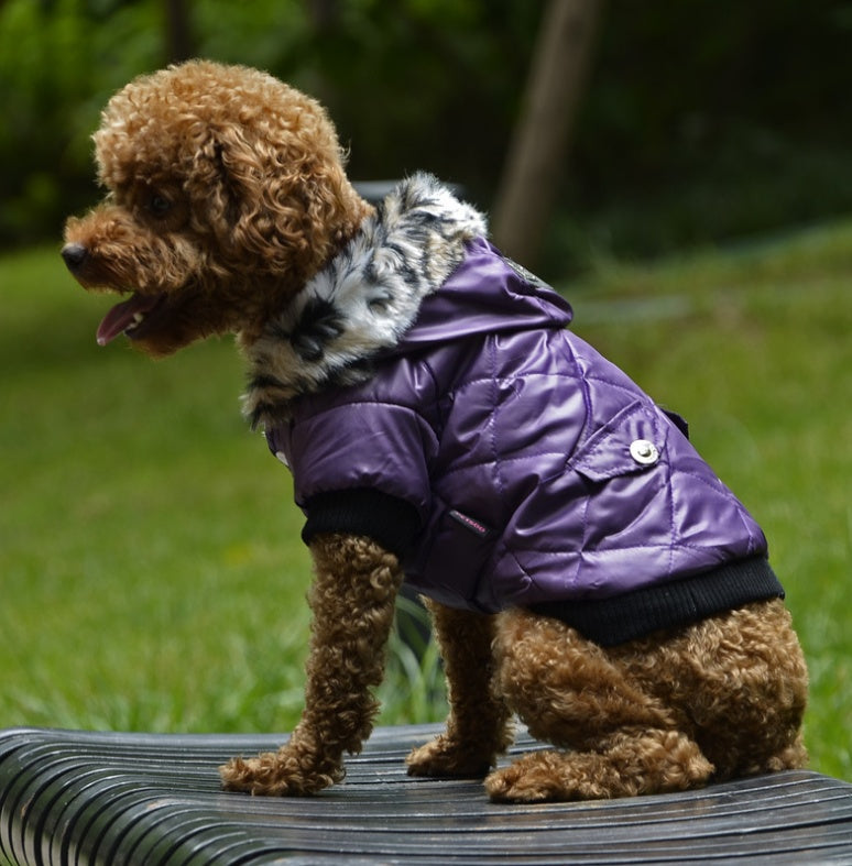 Fur Collar Dog Coat for Autumn Winter