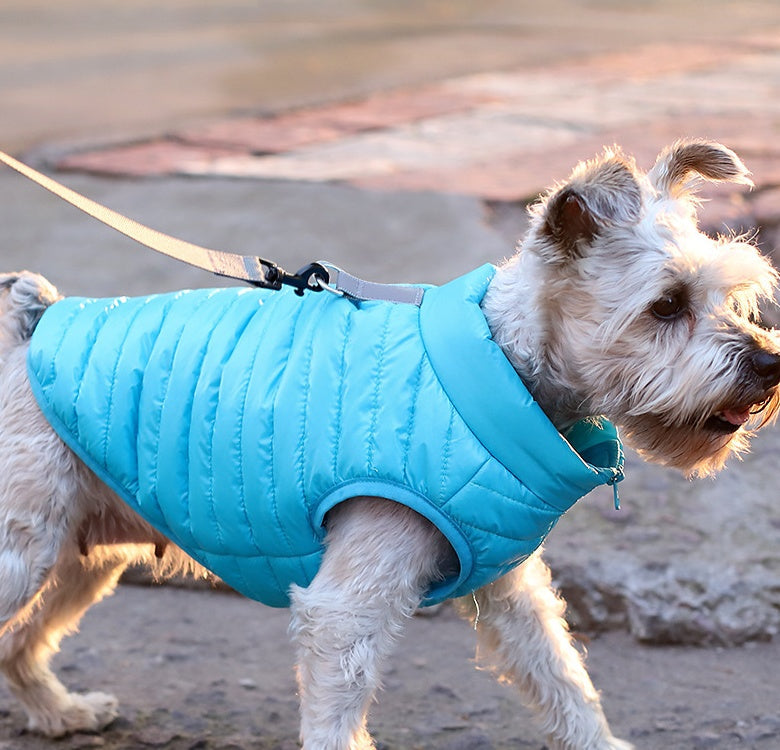 Nylon Zipper Puppy Jacket for Autumn Winter