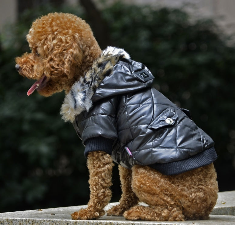 Fur Collar Dog Coat for Autumn Winter
