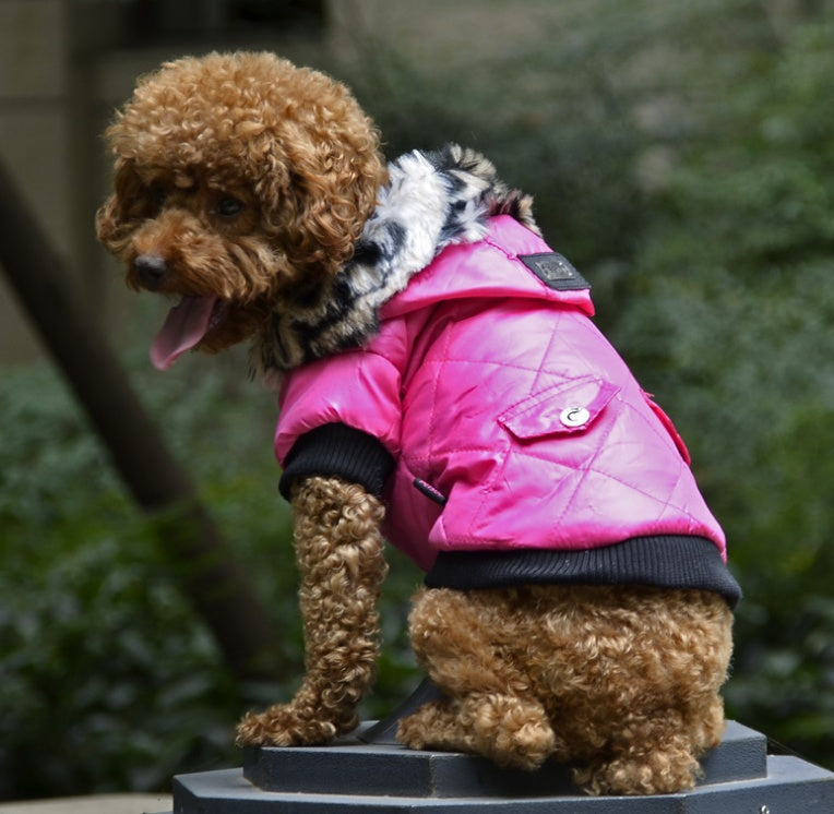 Fur Collar Dog Coat for Autumn Winter