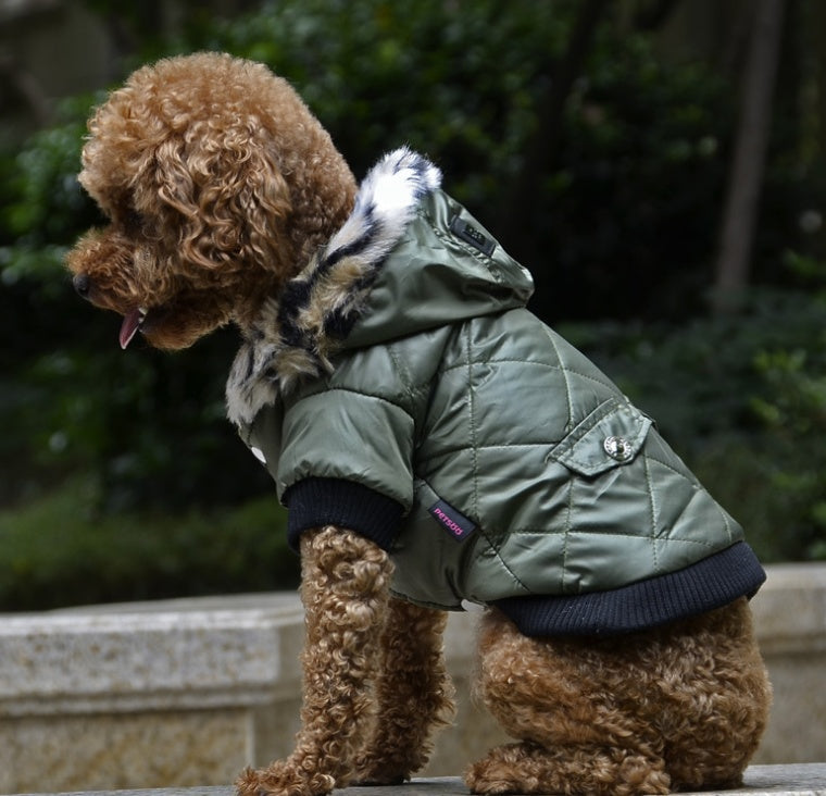 Fur Collar Dog Coat for Autumn Winter