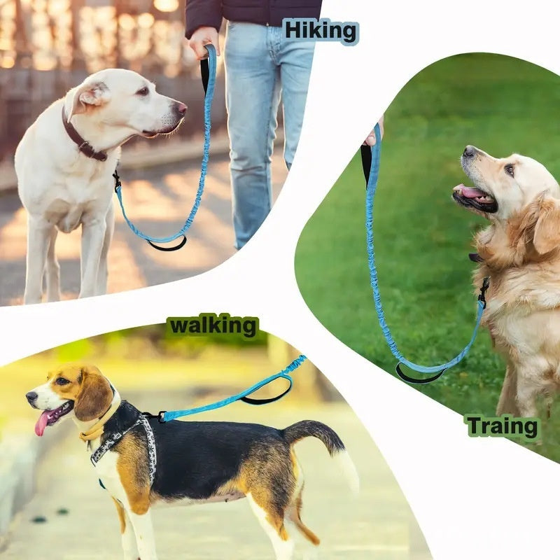 Multi Functional Anti Pull Leash for Large Dogs