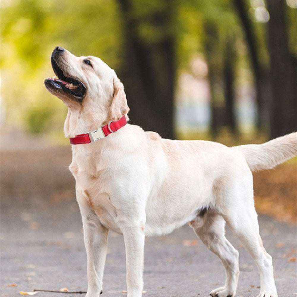 Nylon Reflective String Dog Collar Adjustable Walking