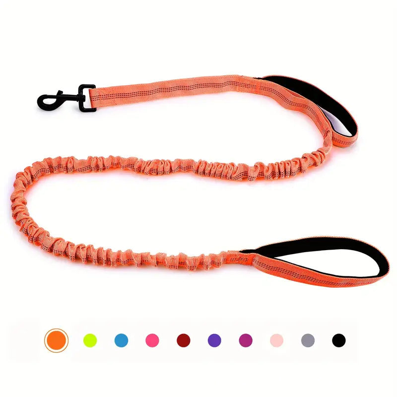 Multi Functional Anti Pull Leash for Large Dogs