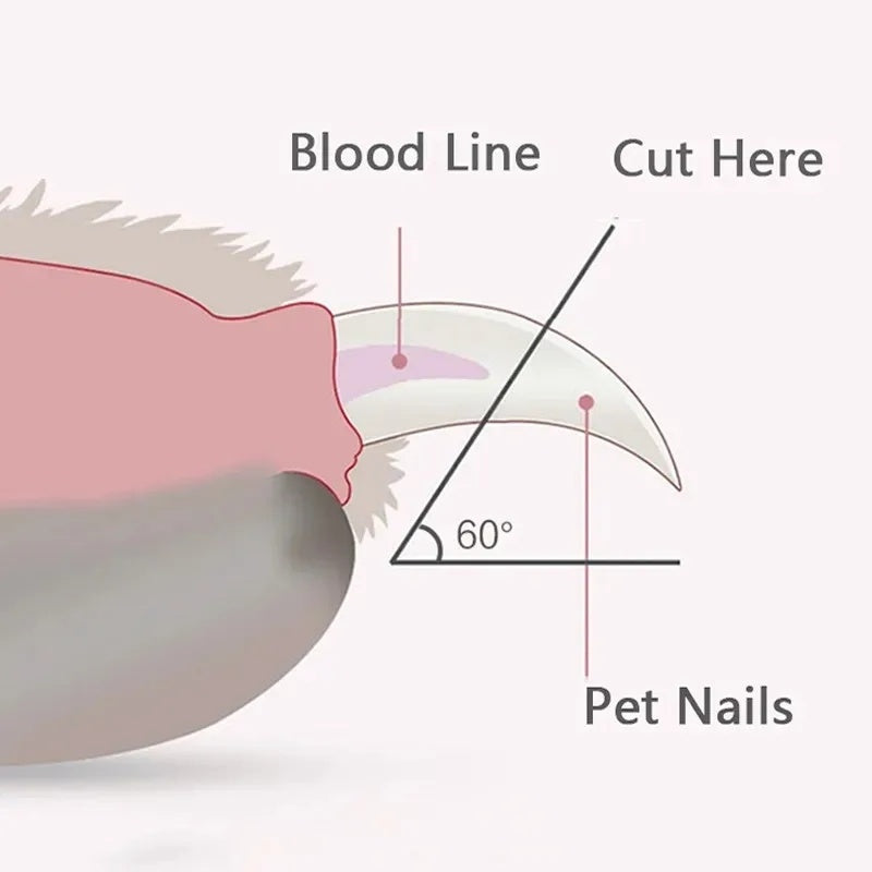 Lovely Donut LED Pet Nail Clippers for Dogs Cats