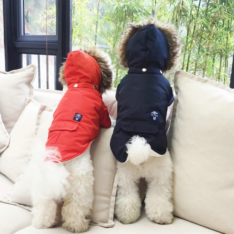 Hooded Cotton Coat for Dogs Warm Comfortable Clothing