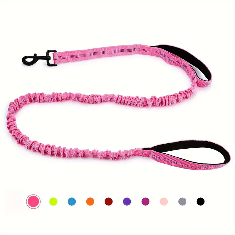 Multi Functional Anti Pull Leash for Large Dogs