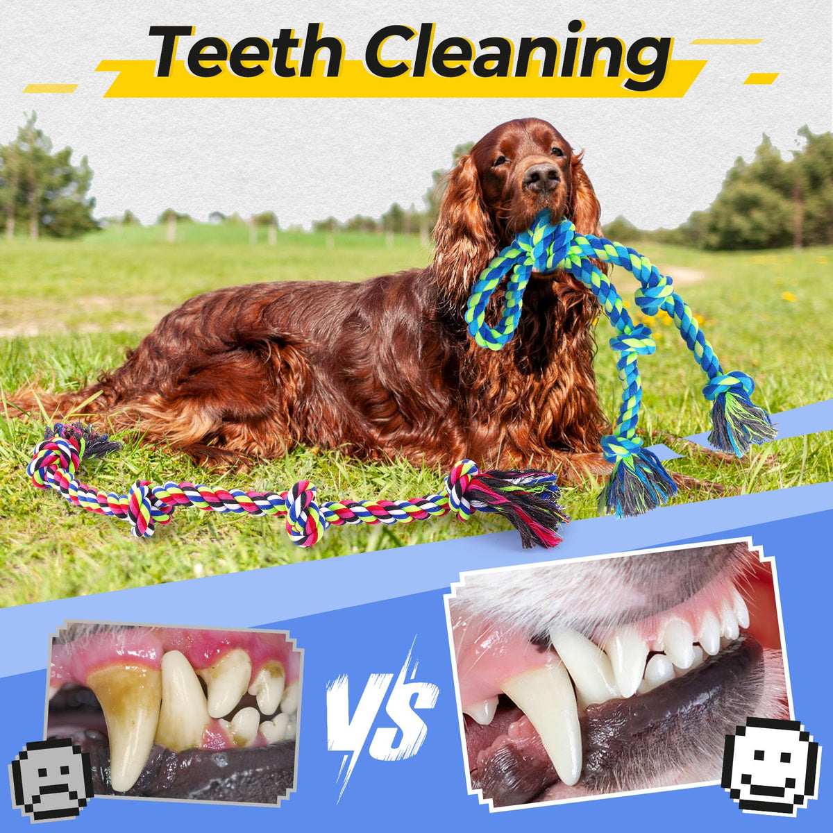 Tough Dog Rope Toy For Aggressive Chewers