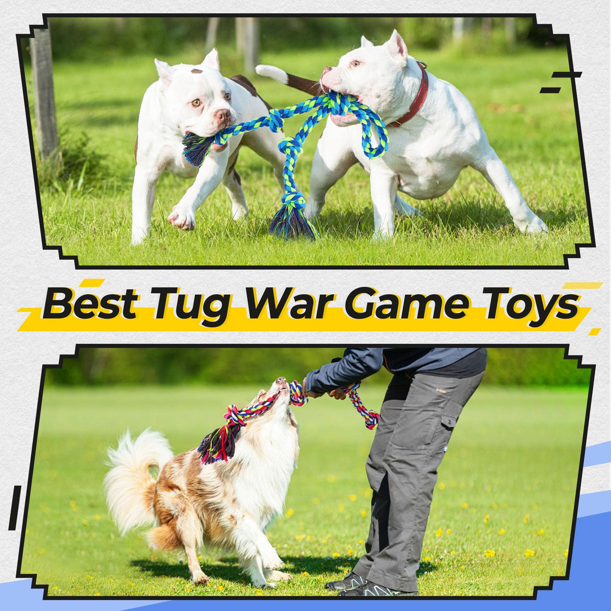 Tough Dog Rope Toy For Aggressive Chewers