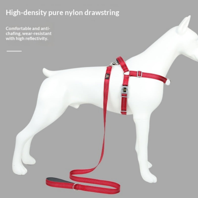 Fashionable Reflective Silk Webbing Pet Dog Leash
