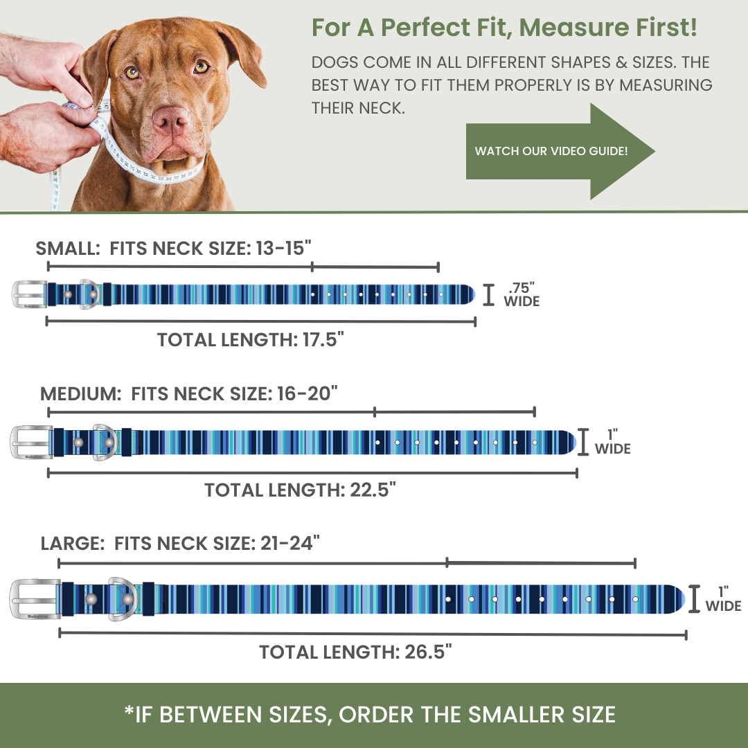 Waterproof Washable Stink Proof Durable Dog Collar