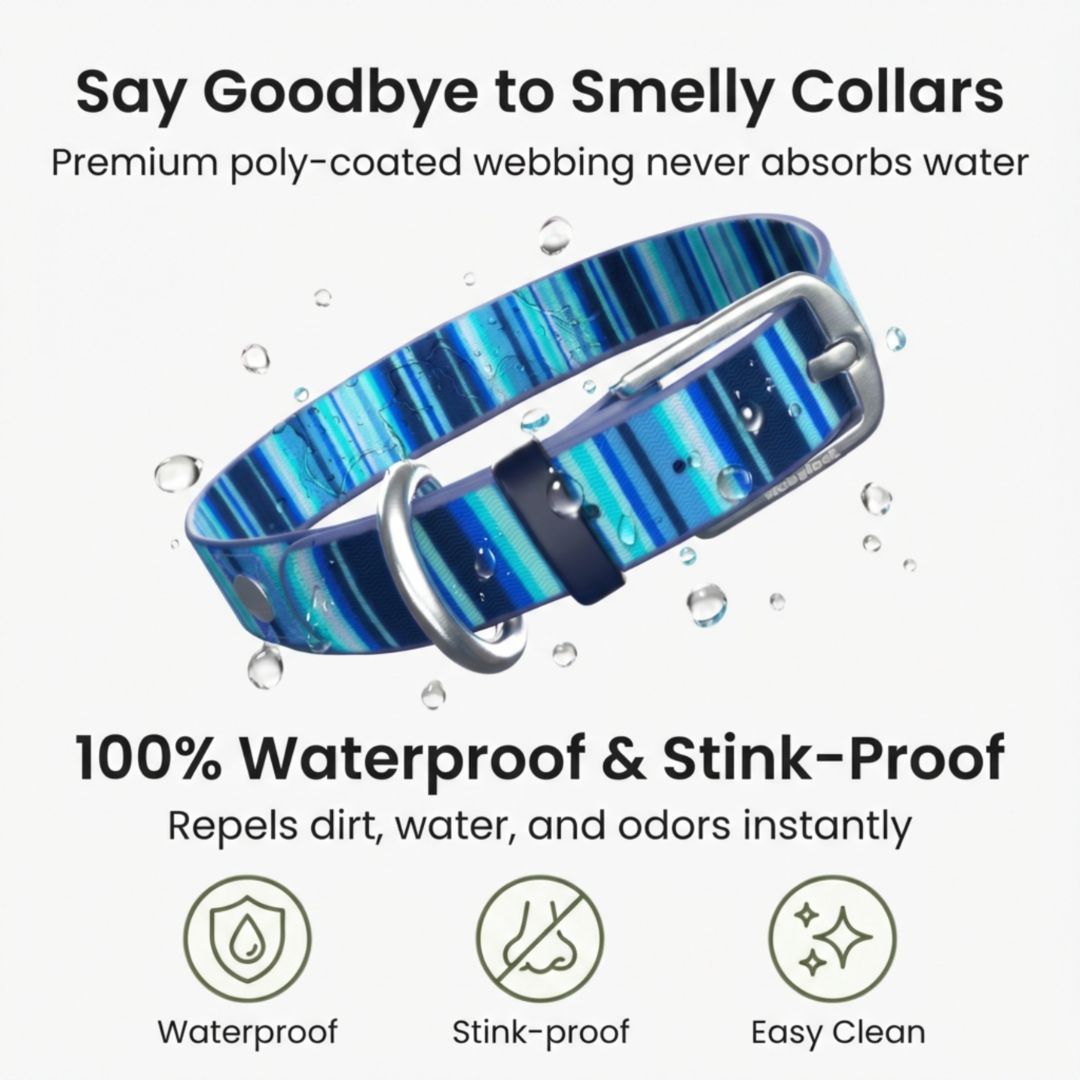 Waterproof Washable Stink Proof Durable Dog Collar