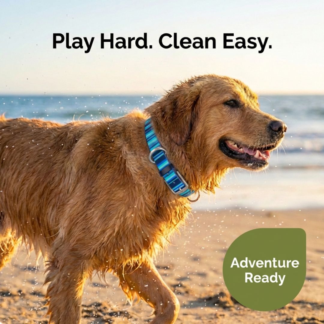 Waterproof Washable Stink Proof Durable Dog Collar