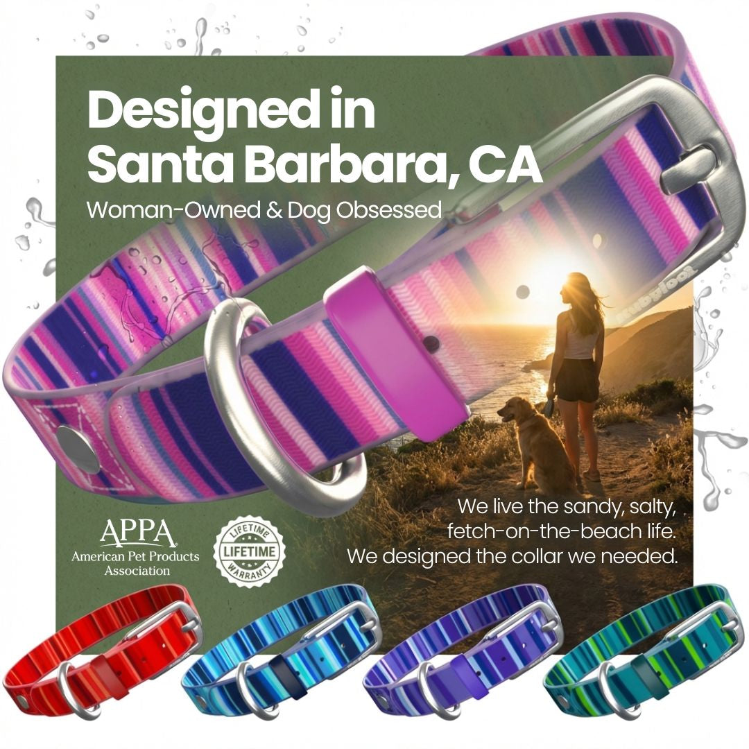 Waterproof Washable Stink Proof Durable Dog Collar