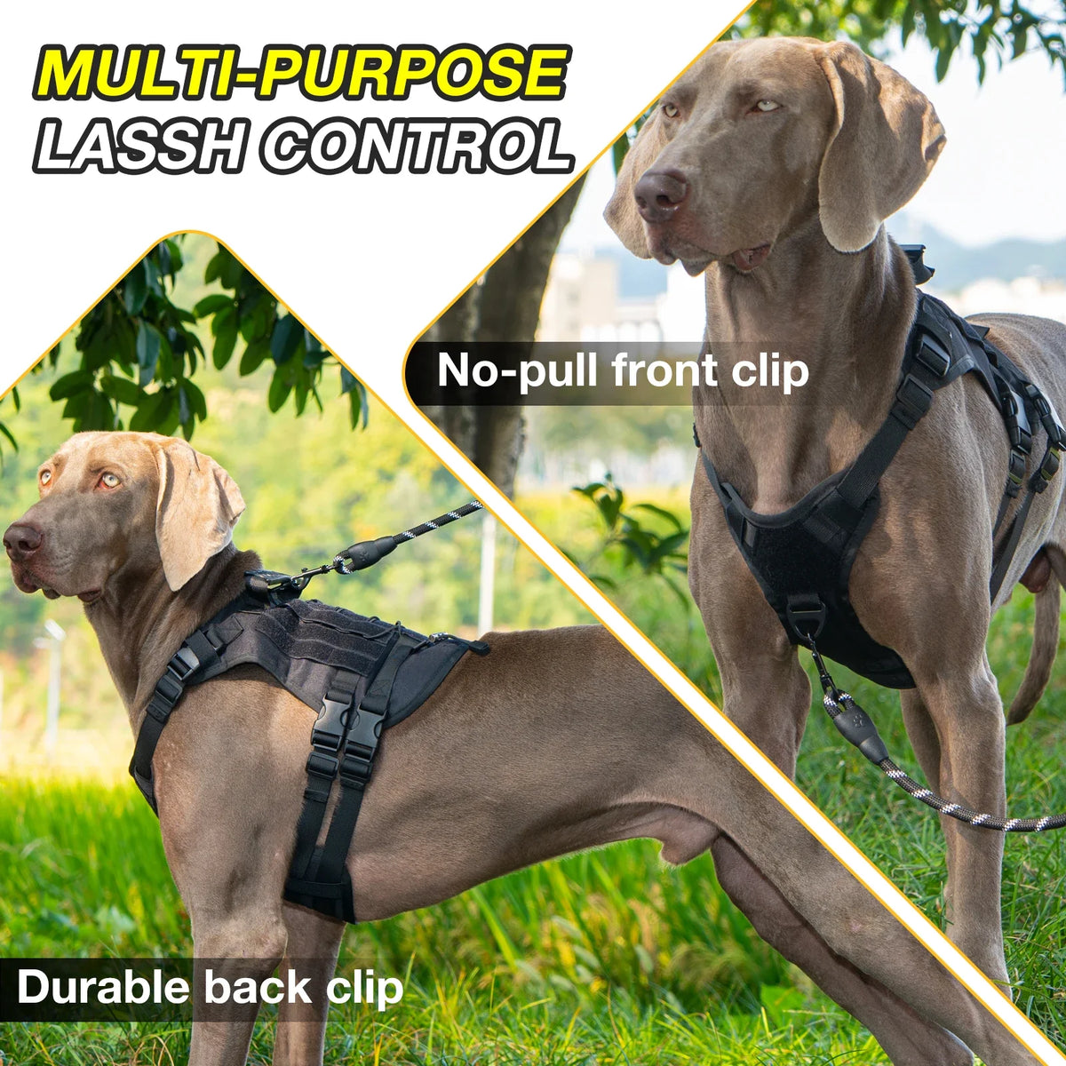 Large Dog Tactical Chest Harness Outdoor Walking Vest