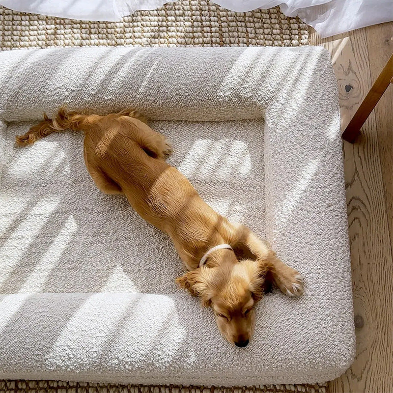 Premium Waterproof Memory Foam Dog Bed Washable
