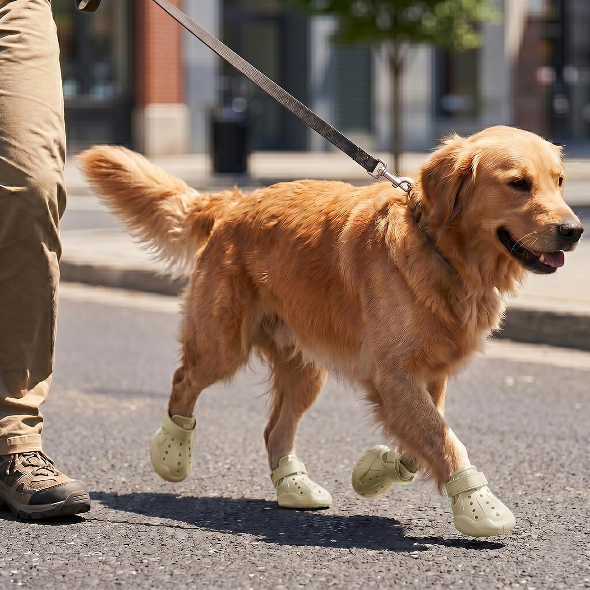 Waterproof Breathable Dog Shoes for Summer Rain