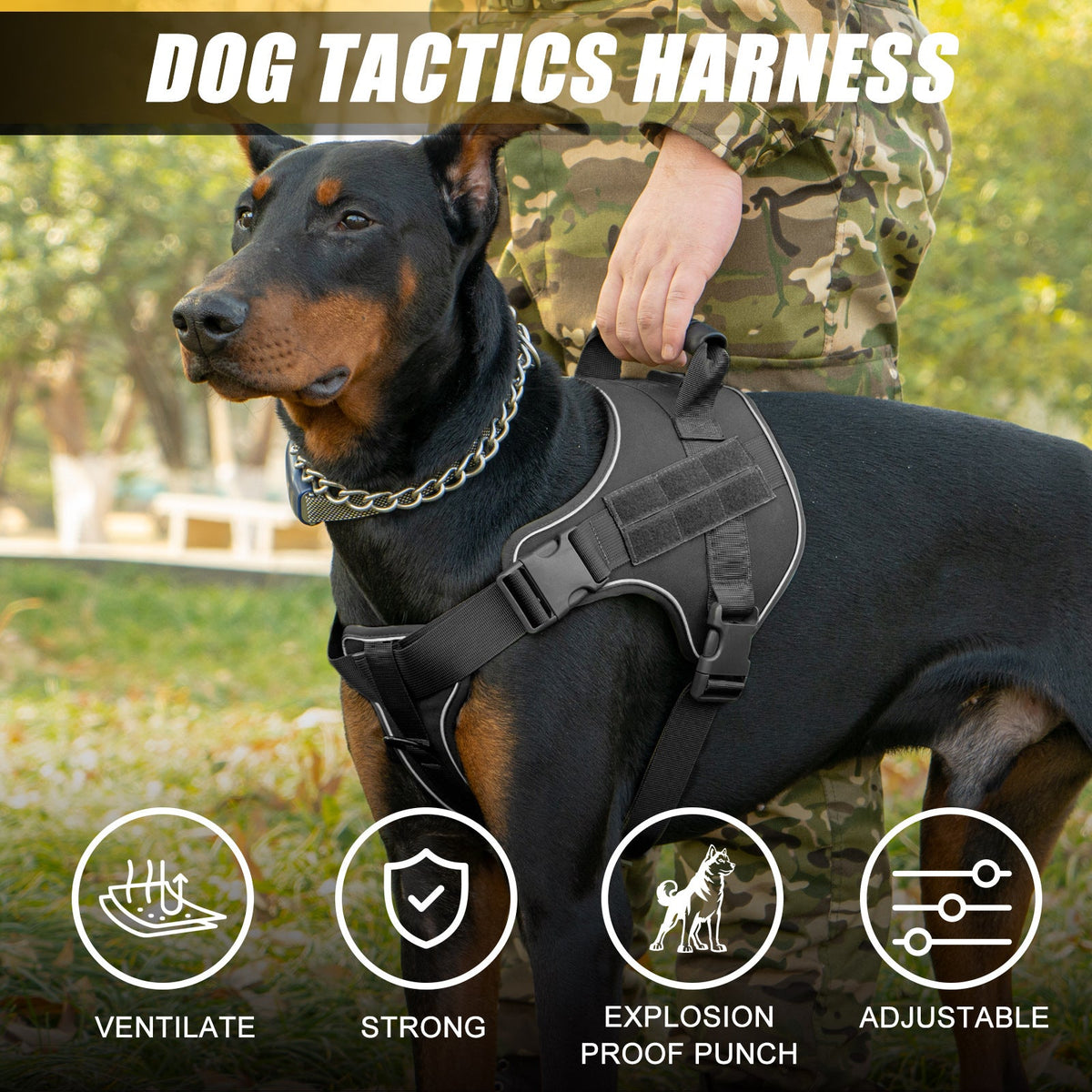 Breathable Tactical Dog Harness With Traction Rope
