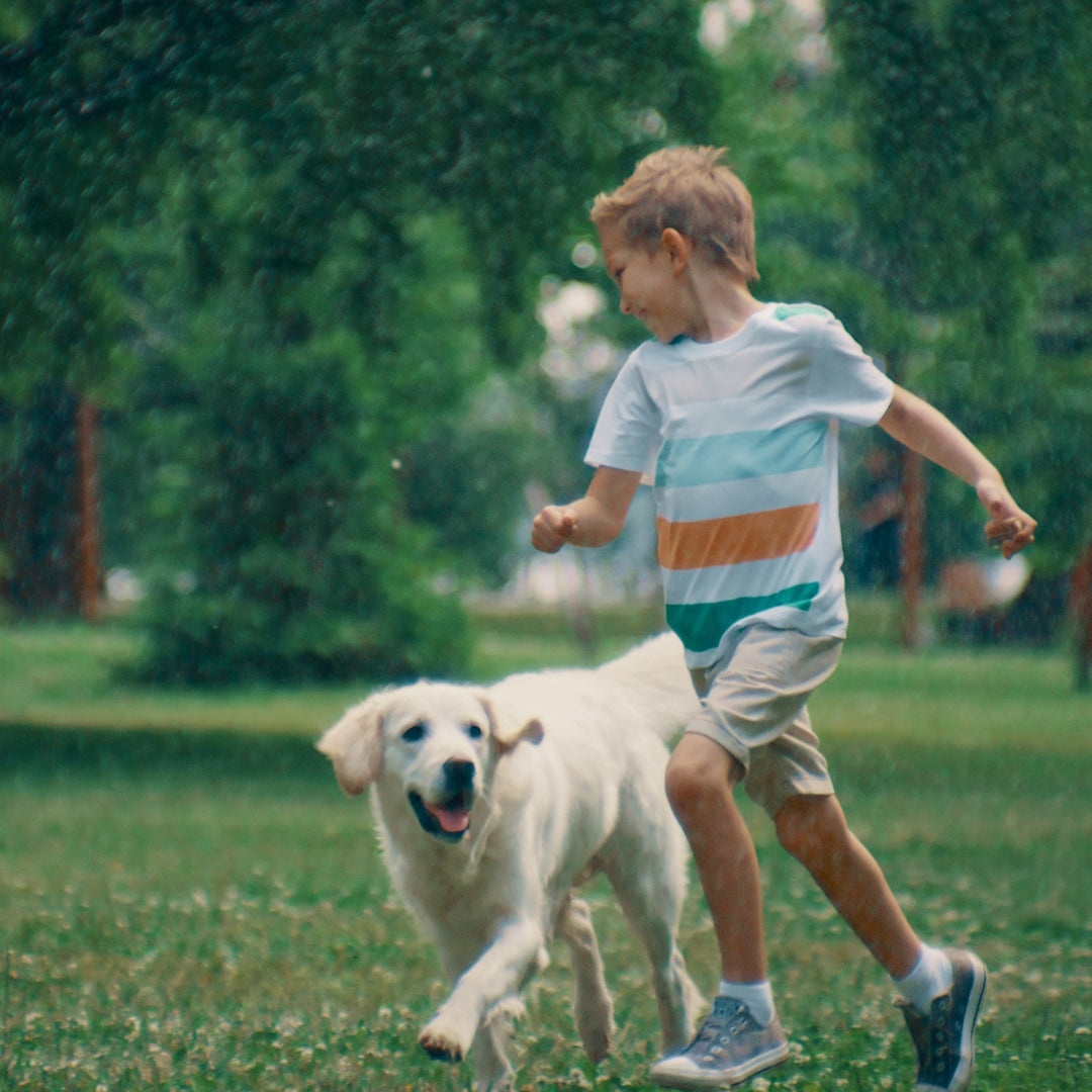 A young boy running in the rain with a golden retriever dog in a grassy park. The boy is wearing a white t-shirt with light blue and orange horizontal stripes, beige shorts, and gray sneakers.