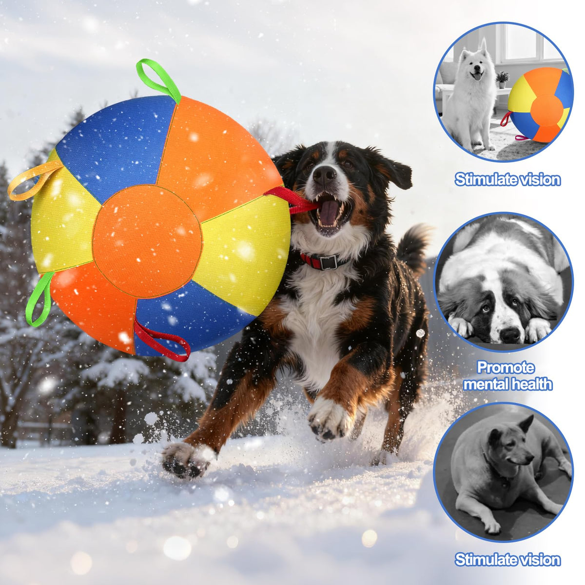 Herding Ball With Handles For Large Dogs