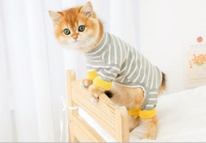 Four Legged Cat Clothing for Hairless Cats
