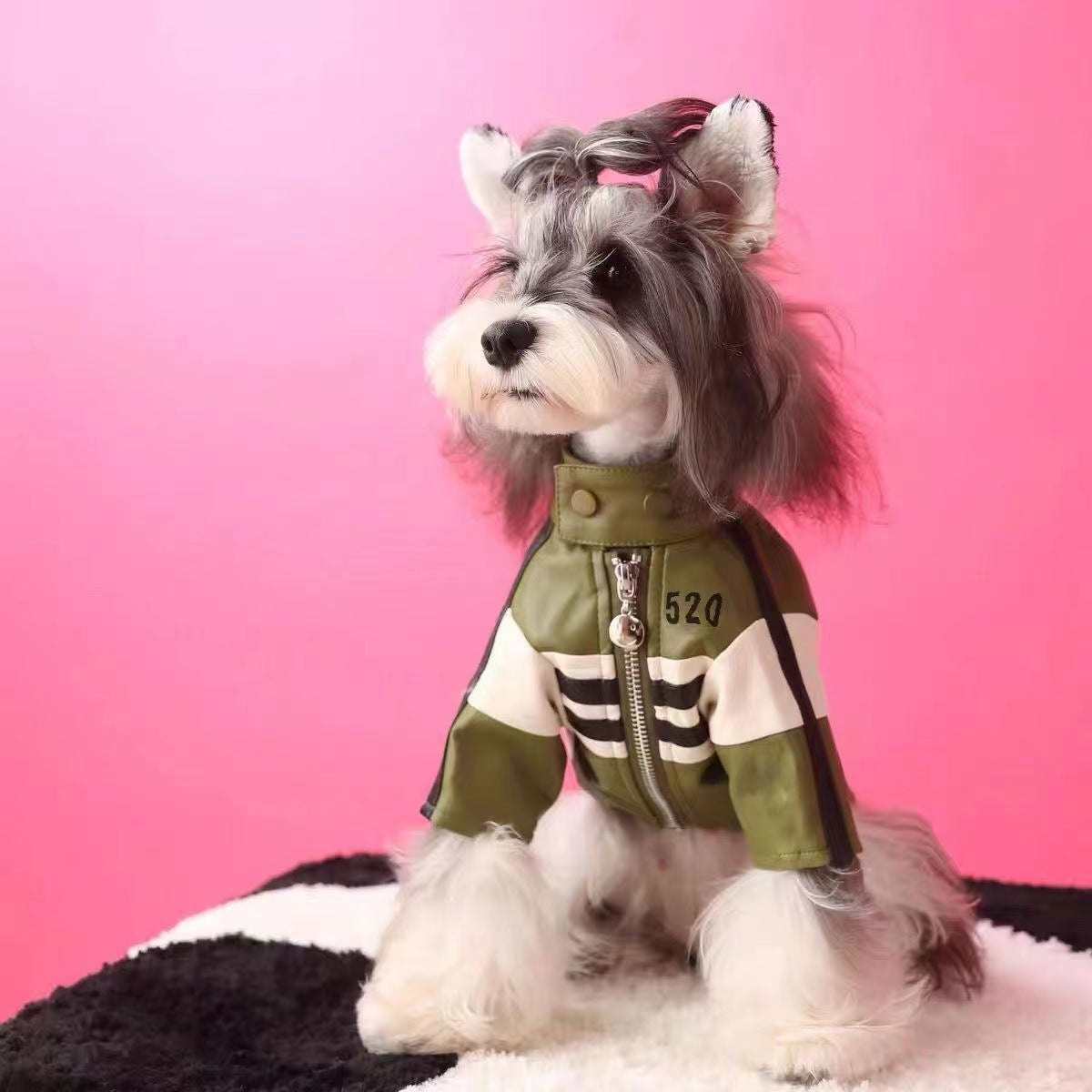 Dog Autumn Winter Motorcycle Jacket Warm Coat