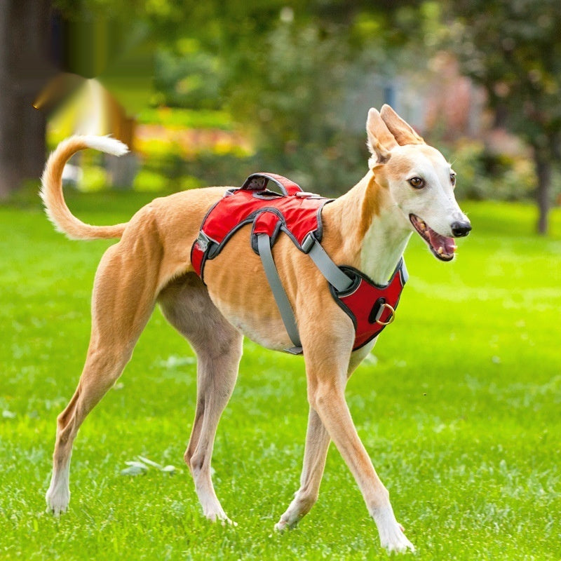 Large Medium Dog Outdoor Vest Style Harness
