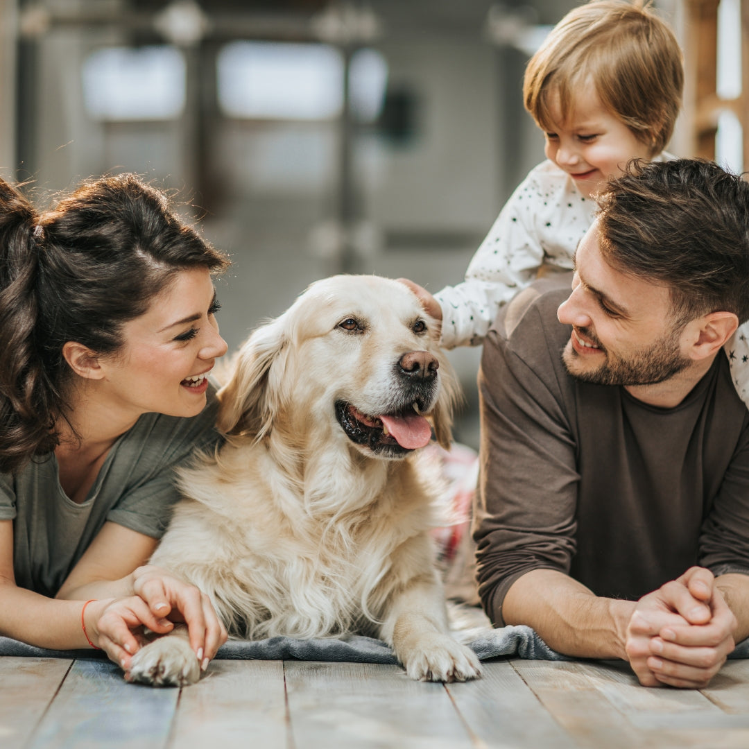 Family with a dog sitting on a wooden floor indoors